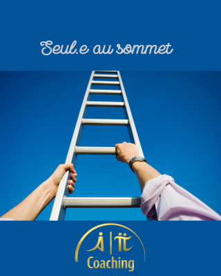 La posture de dirigeant, g&eacute;rer et faire face &agrave; toutes les d&eacute;cisions seul.e A-Pi.coaching Le Rheu