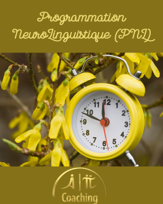 A-Pi.coaching &eacute;voque la PNL, Nelly Laudrel coach certifi&eacute;e &agrave; Rennes