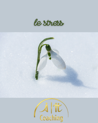 A-Pi.coaching &eacute;voque la gestion du stress, Nelly Laudrel coach certifi&eacute;e &agrave; Rennes